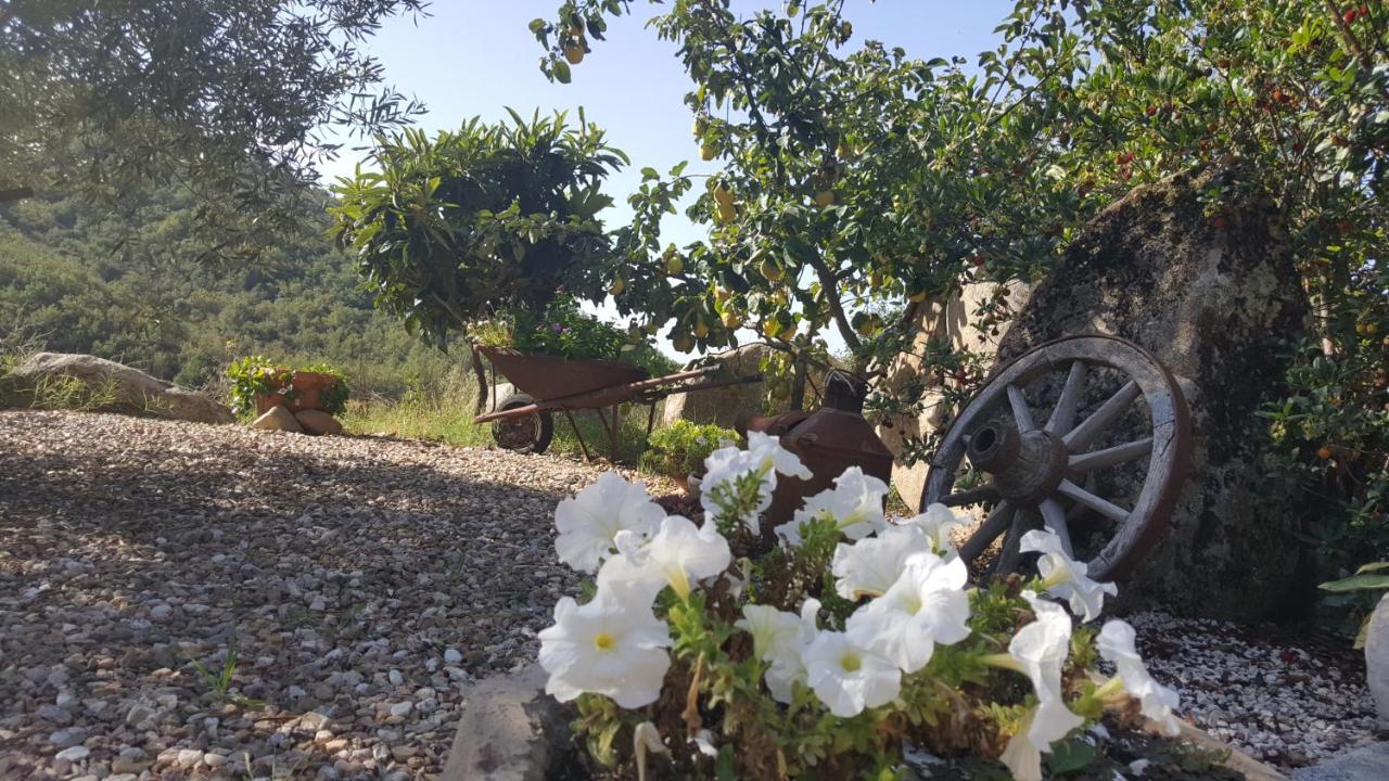 B&B Casa Vacanza Centro Sardegna Sorgono Екстер'єр фото