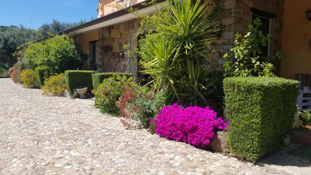 B&B Casa Vacanza Centro Sardegna Sorgono Екстер'єр фото