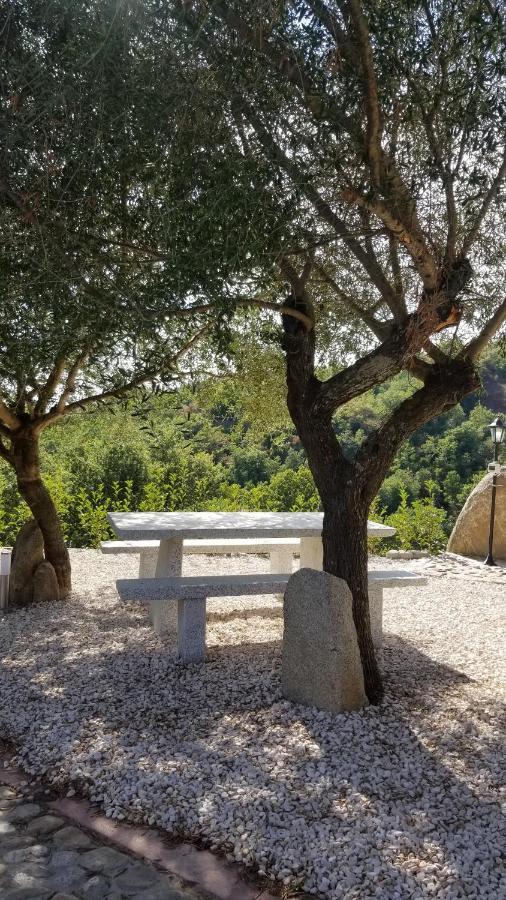 B&B Casa Vacanza Centro Sardegna Sorgono Екстер'єр фото