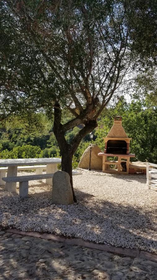 B&B Casa Vacanza Centro Sardegna Sorgono Екстер'єр фото