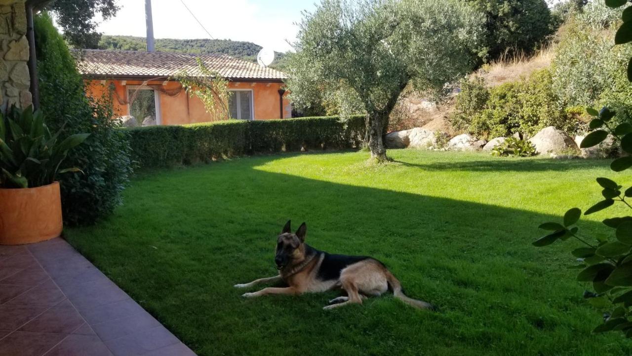 B&B Casa Vacanza Centro Sardegna Sorgono Екстер'єр фото